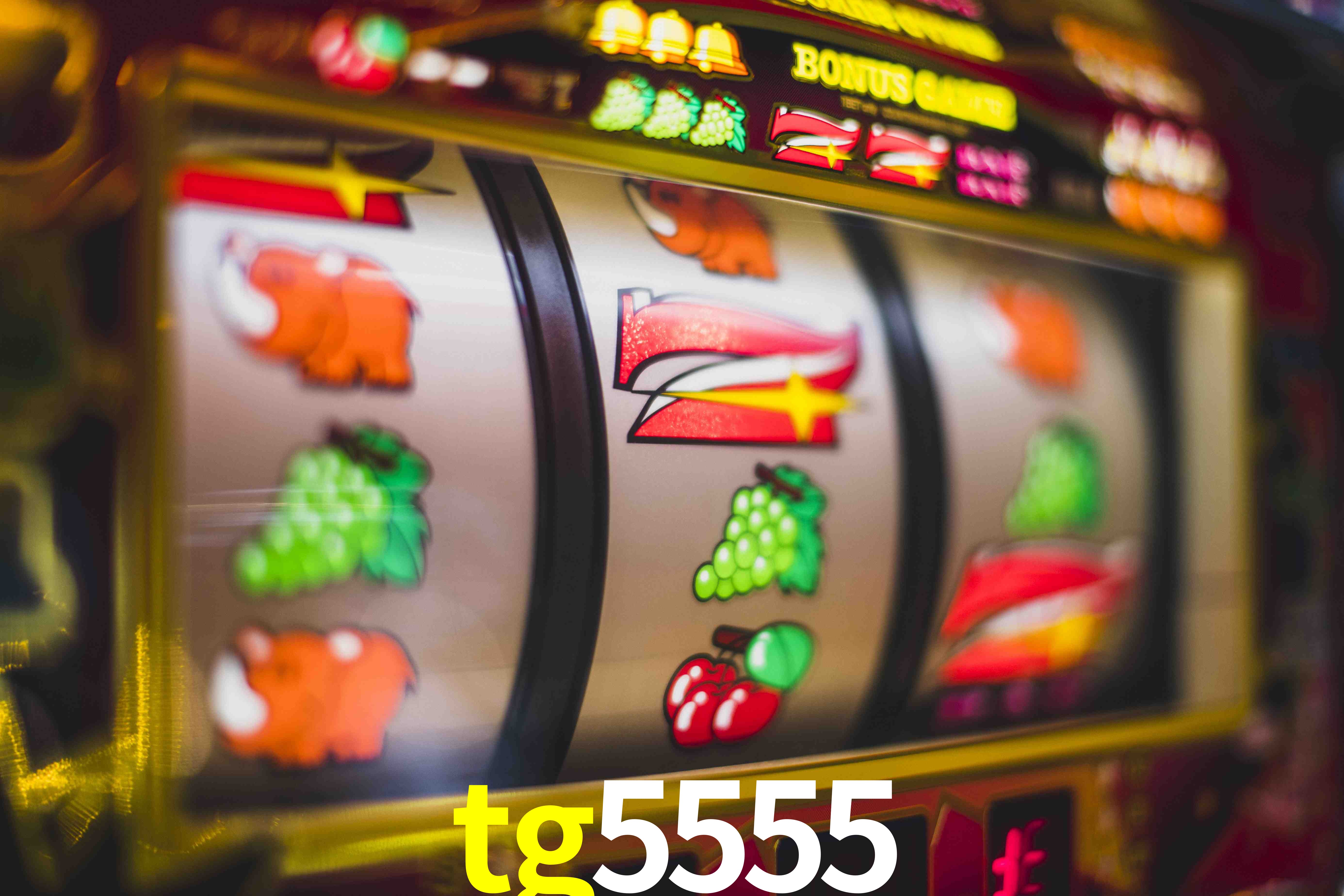 Live Casino tg5555